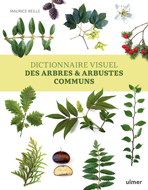 Maurice Reille: Dictionnaire visuel des arbres et arbustes communs (Paperback, French language, 2023, Ulmer)