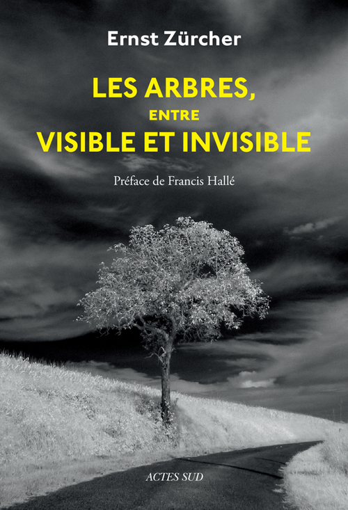 Ersnt Zürcher: Les arbres, entre visible et invisible (French language, 2016, Actes Sud)